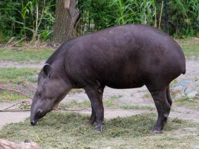 berlinzoo23